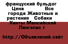 француский бульдог › Цена ­ 40 000 - Все города Животные и растения » Собаки   . Ханты-Мансийский,Лангепас г.